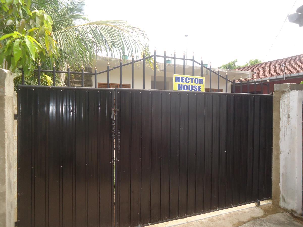 Hector House Ξενοδοχείο Weligama Εξωτερικό φωτογραφία